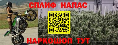 мдпв Гагарин
