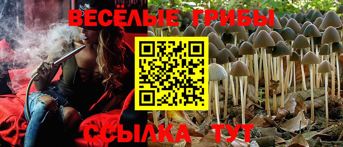 Галлюциногенные грибы Cubensis Можайск