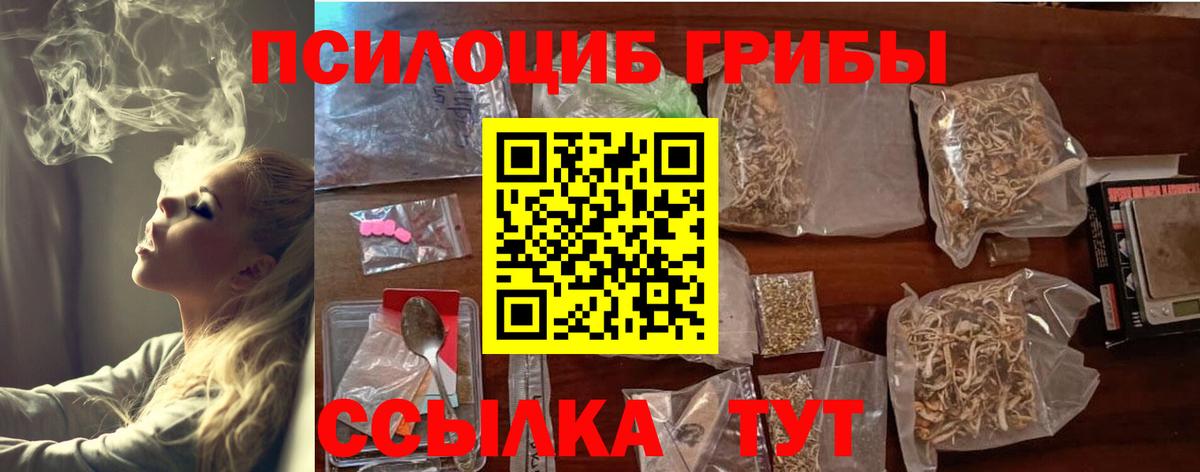 Галлюциногенные грибы GOLDEN TEACHER  Галлюциногенные грибы Psilocybe  Можайск  Вход с VPN 